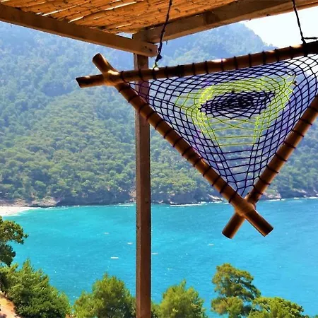 Cosmos Lounge Camping