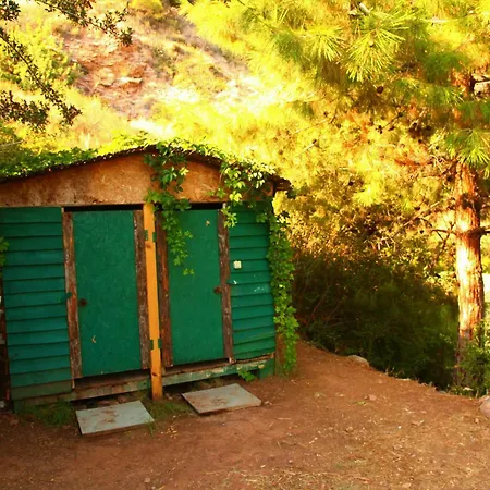Cosmos Lounge Camping *